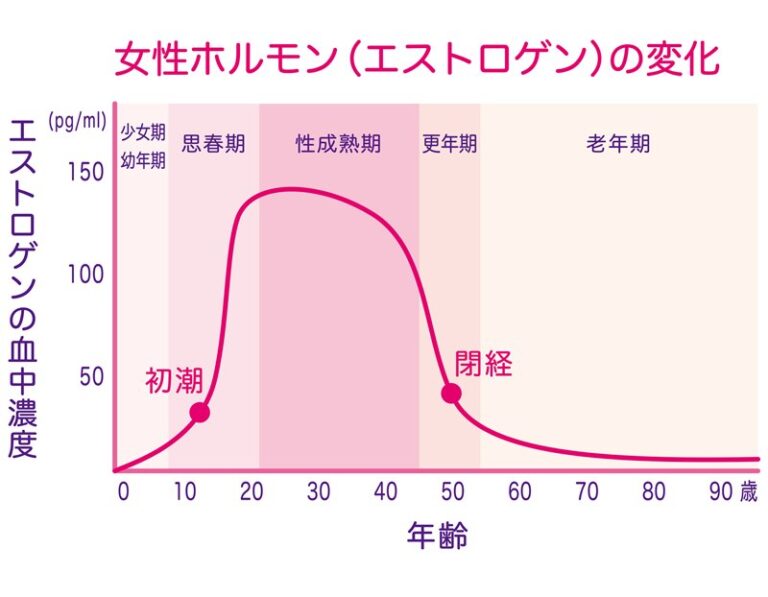 更年期障害のホルモンの変化